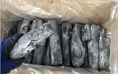 �V�R�����Y�@���ہ@�T����