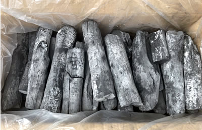 �V�R�����Y�@���ہ@�P�T����